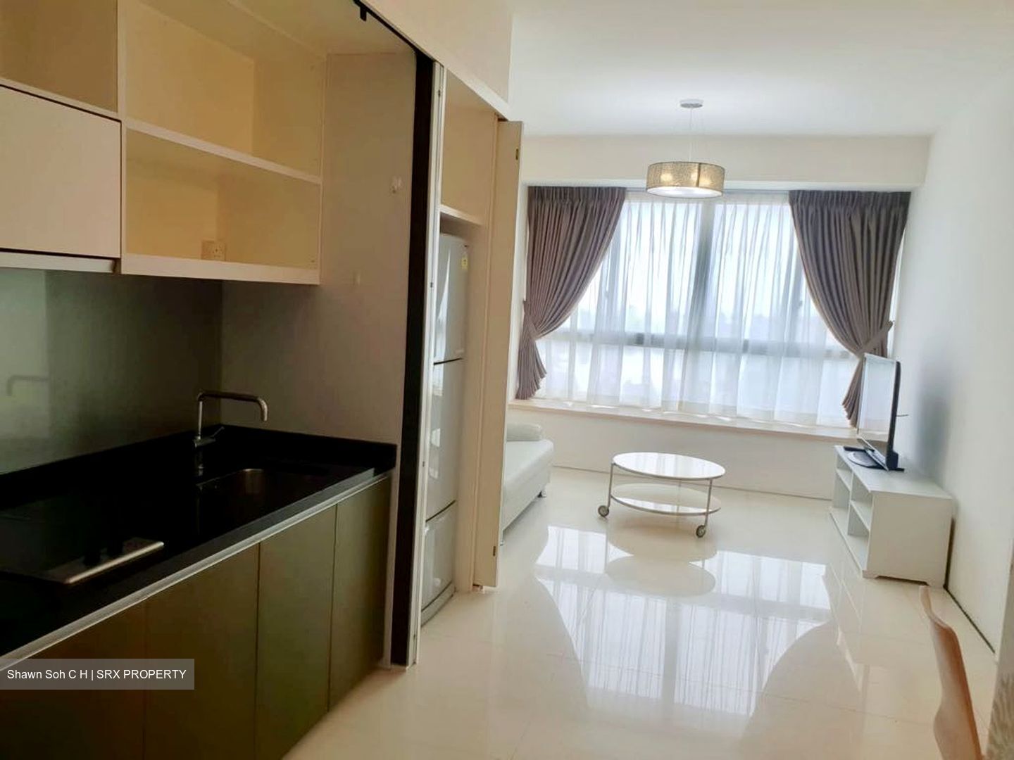 Citylights (D8), Condominium #489288571